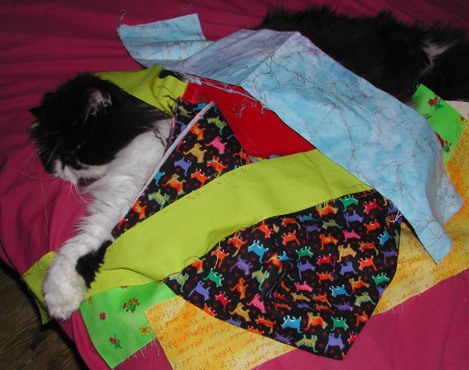 Splodge in the middle of a quilting project