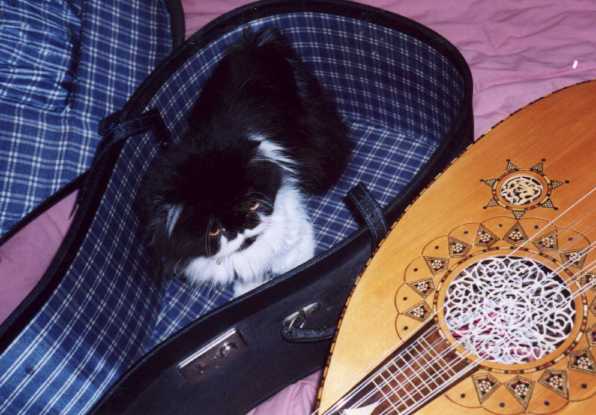 Splodge in an ud case