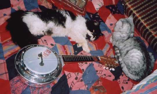 A cumbus-mandolin